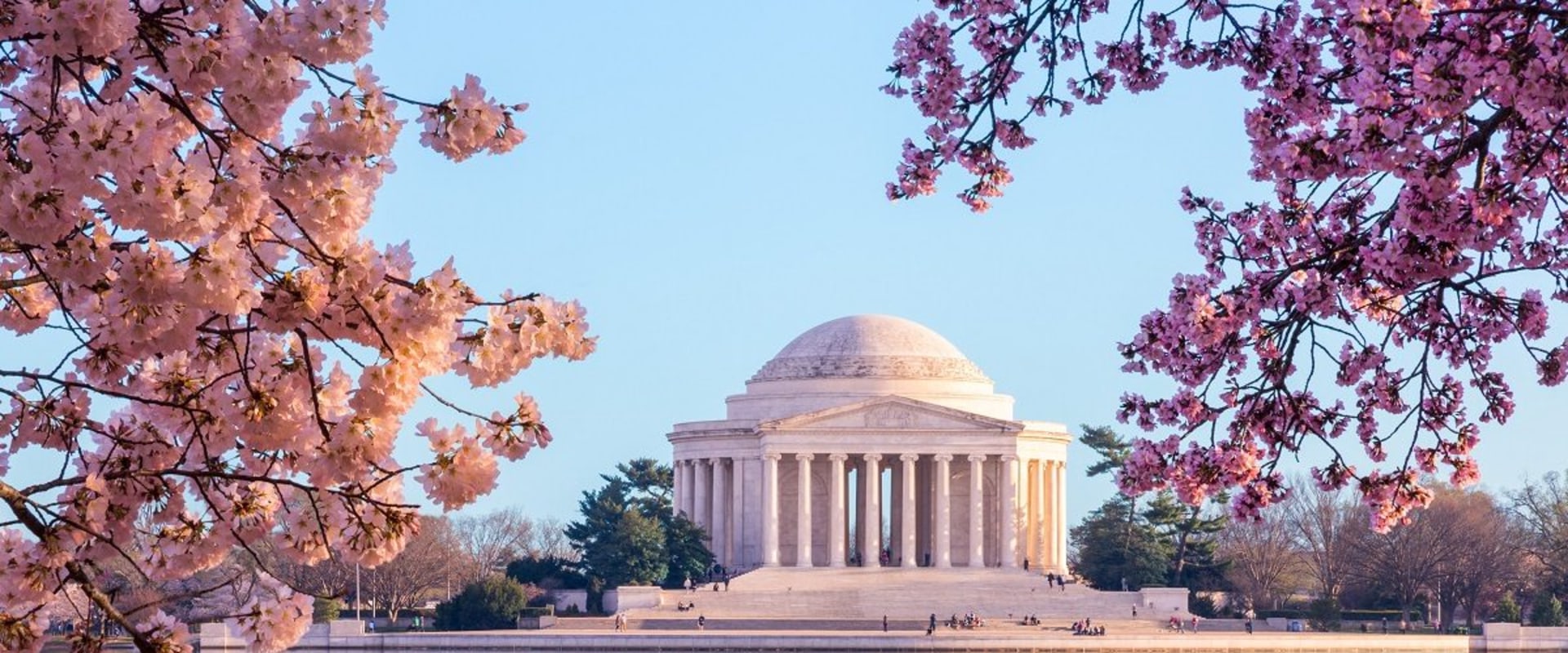 The Ultimate Guide to Logan Circle Movers